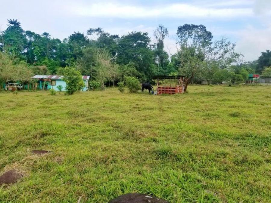 Venta de terreno plano en Guápiles, CG-21-1276