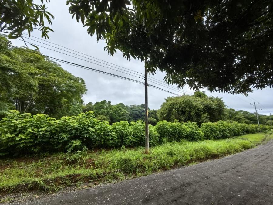 Foto Terreno en Venta en La Ceiba, La Ceiba, Alajuela - U$D 149.000 - TEV100706 - BienesOnLine