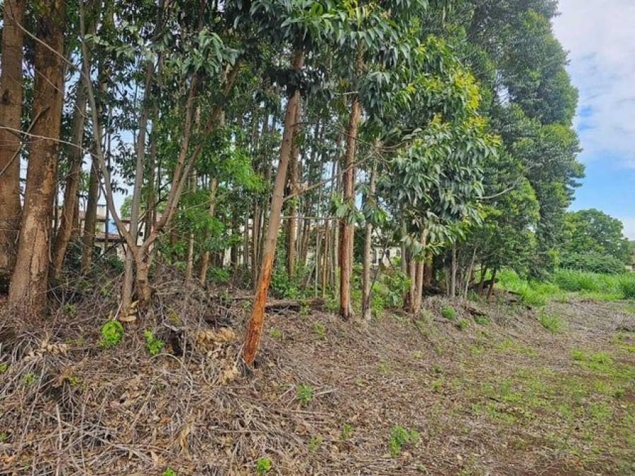 Foto Terreno en Venta en La Unin, Cartago - U$D 706.000 - TEV103161 - BienesOnLine