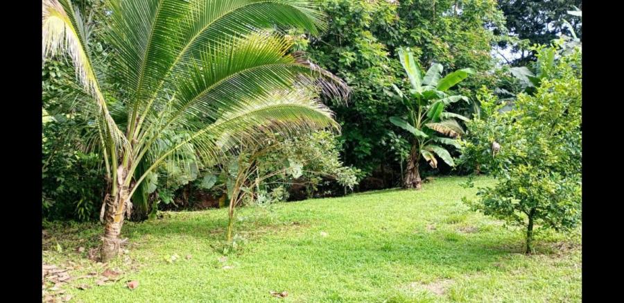 Foto Terreno en Venta en La Virgen, Sarapiquí, Heredia - ¢ 12.000.000 - TEV100311 - BienesOnLine