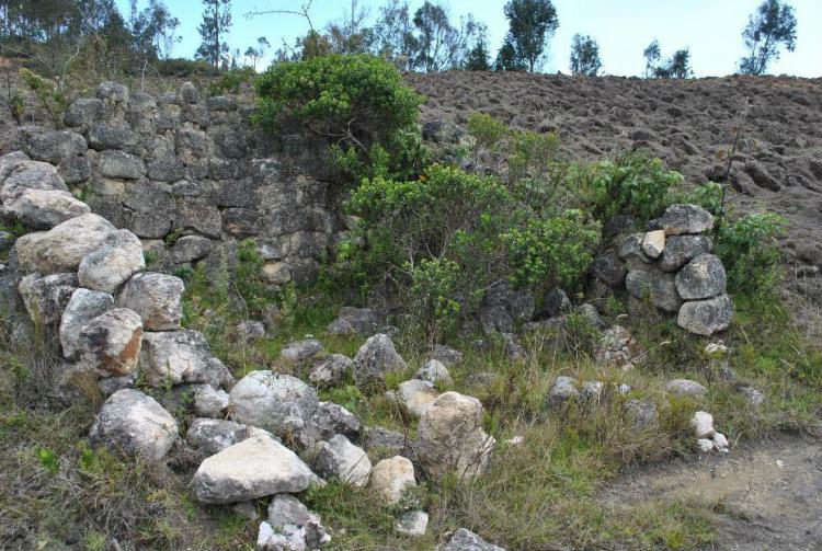 Bonita propiedad en el canton oña azuay