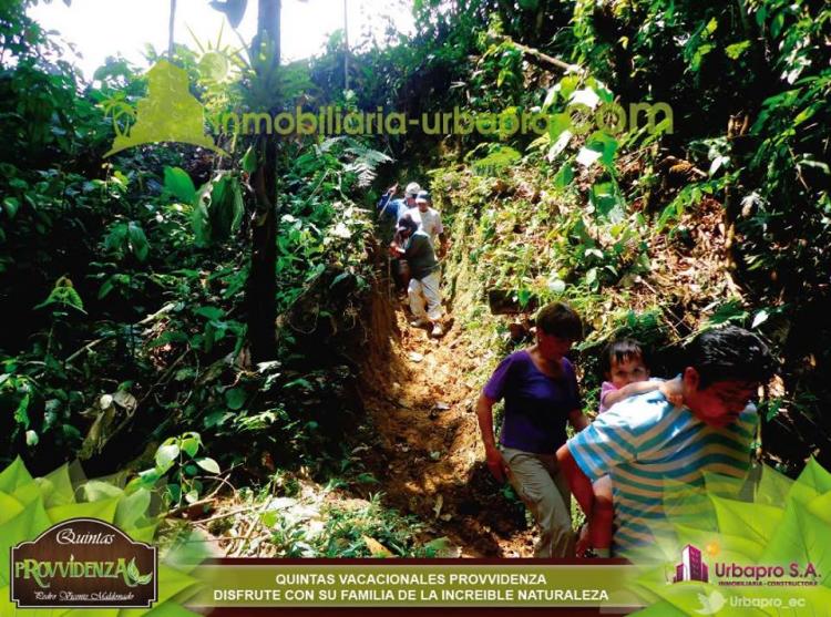 COMPRA DE TERRENO EN UN CLIMA SUBTROPICAL