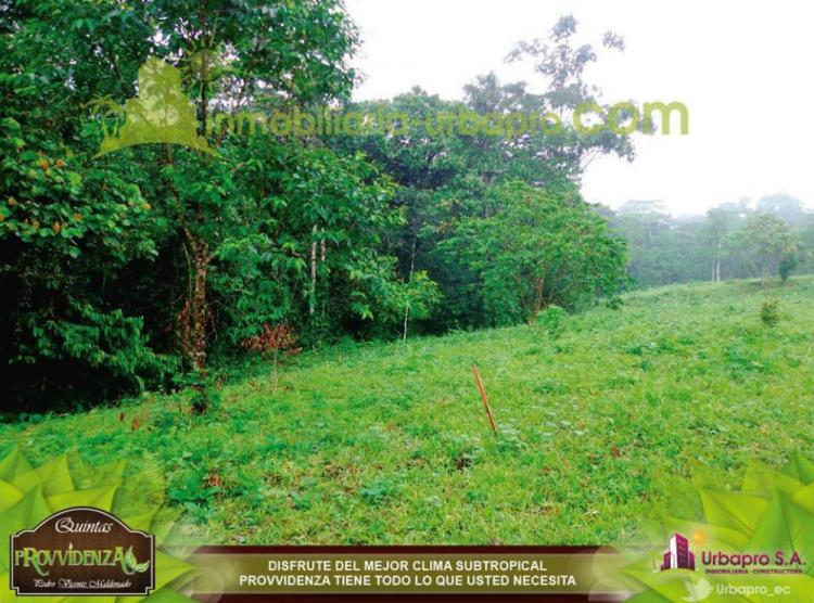 Foto Terreno en Venta en Pedro Vicente Maldonado, Pichincha - U$D 22.900 - TEV15338 - BienesOnLine