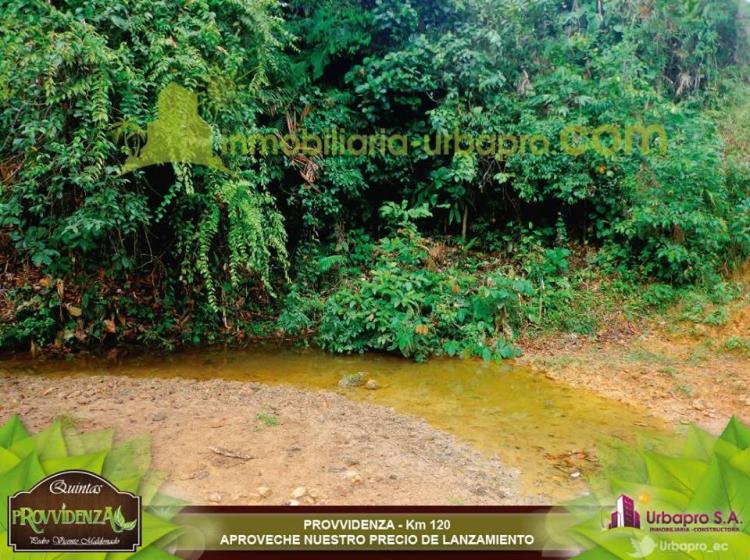 Foto Terreno en Venta en Pedro Vicente Maldonado, Pichincha - U$D 22.000 - TEV12947 - BienesOnLine