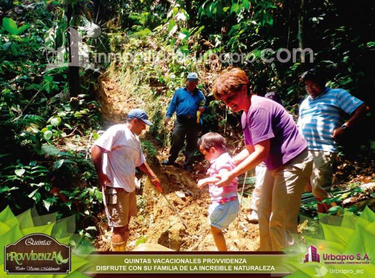 DISFRUTE DE UN CLIMA TROPICAL EN SU LOTE ECOLOGICO