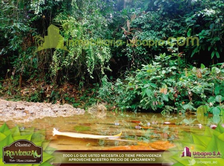 ENCUENTRA AQUI TU TERRENO ECOLOGICO