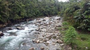 FINCA DE 300 HECTAREAS EN SANTO DOMINGO