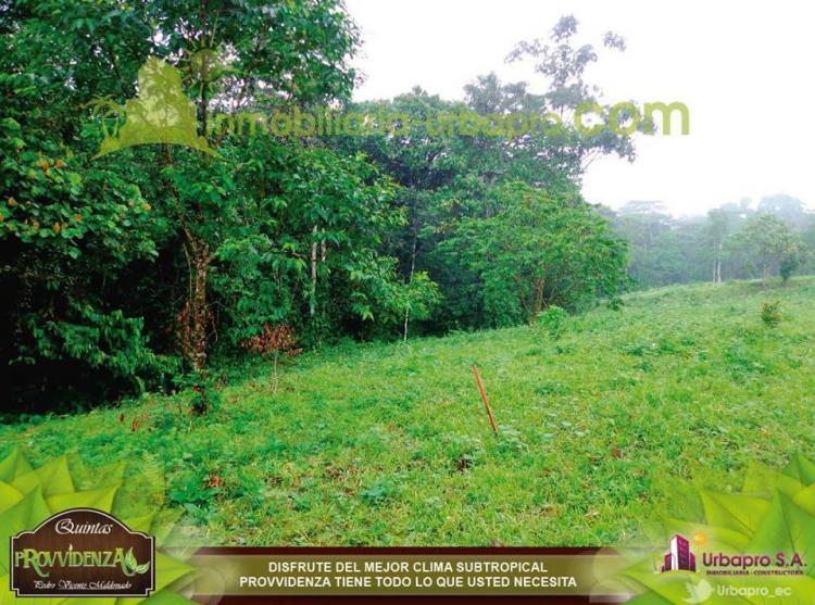 Foto Terreno en Venta en Pedro Vicente Maldonado, Pichincha - $ 22.900 - TEV15200 - BienesOnLine