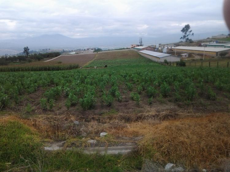 Venta de terreno samanga 2 min entrando por el control norte con agua de regadio