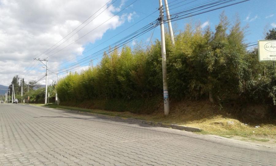 Foto Terreno en Arriendo en Puembo, Puembo, Pichincha - U$D 390 - TEA37045 - BienesOnLine