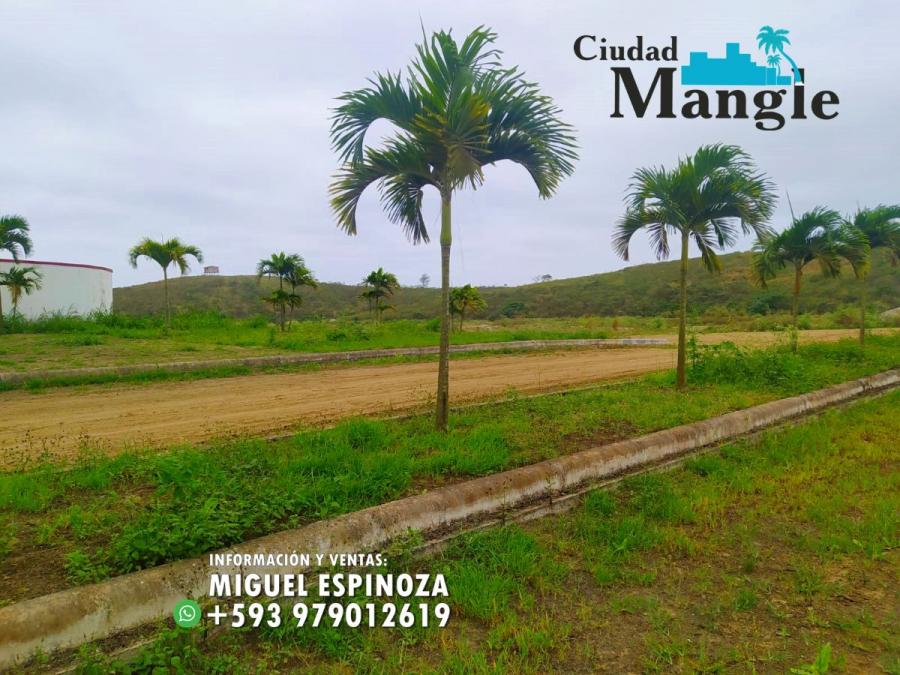 Foto Terreno en Venta en MONTECRISTI, Montecristi, Manabi - 15 hectareas - U$D 16.000 - TEV35442 - BienesOnLine