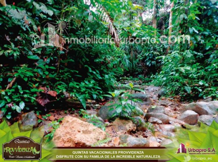 Foto Terreno en Venta en Pedro Vicente Maldonado, Pichincha - U$D 22.900 - TEV13846 - BienesOnLine