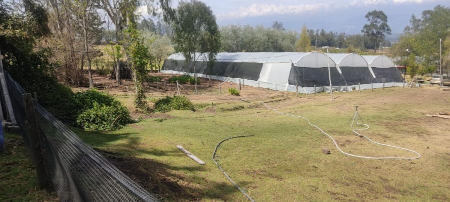 Foto Quinta en Venta en Quito, Pichincha - U$D 690.000 - QUV40599 - BienesOnLine