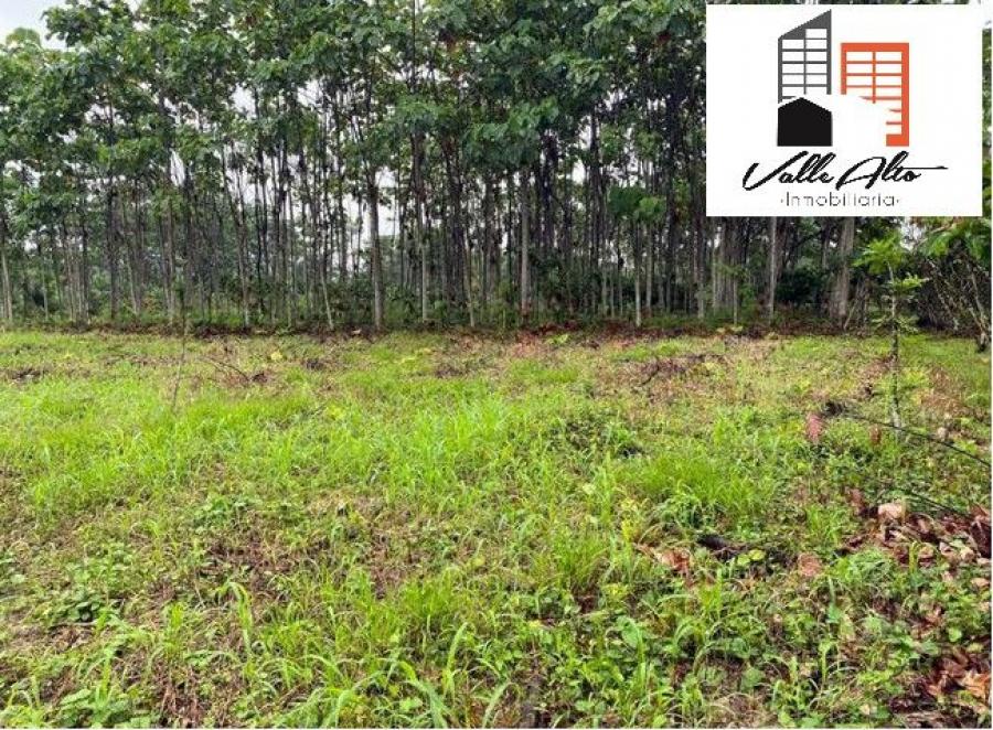 Foto Terreno en Venta en Puyo, Puyo, Pastaza - U$D 110.000 - TEV40357 - BienesOnLine