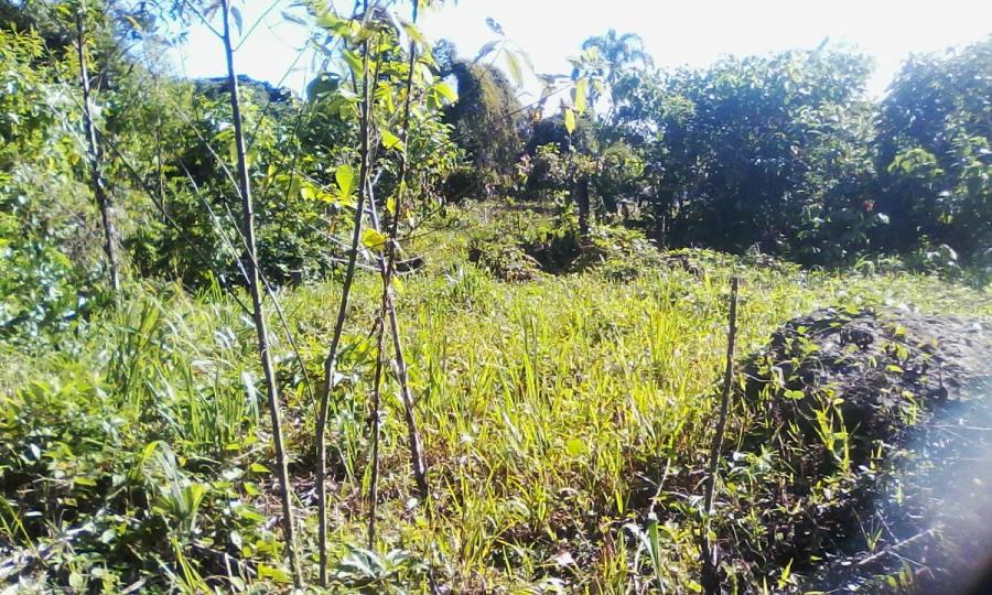 Terreno con bonita vista en Tena