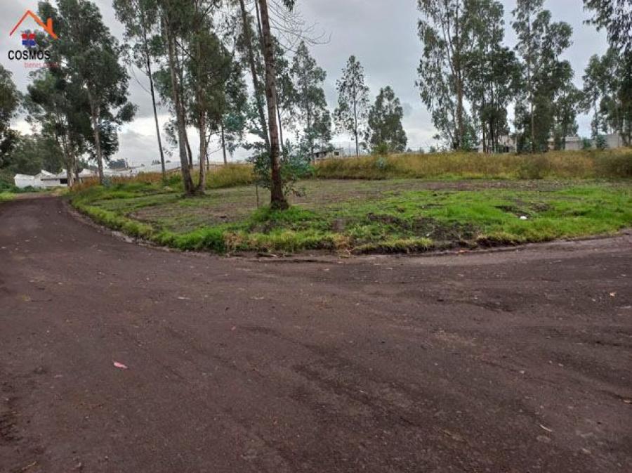 Foto Terreno en Venta en Pedro Moncayo, Pichincha - U$D 17.500 - TEV39940 - BienesOnLine