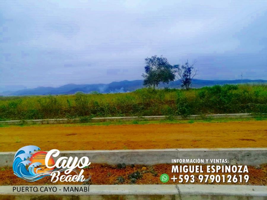 Foto Terreno en Venta en PUERTO CAYO, Jipijapa, Manabi - 15 hectareas - U$D 5.200 - TEV35449 - BienesOnLine