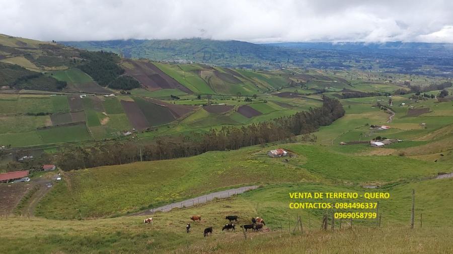 Foto Terreno en Venta en Cruz de Mayo, Quero, Pichincha - U$D 30.000 - TEV38049 - BienesOnLine