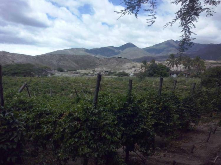 venta de terreno sector trapichillo ( catamayo)