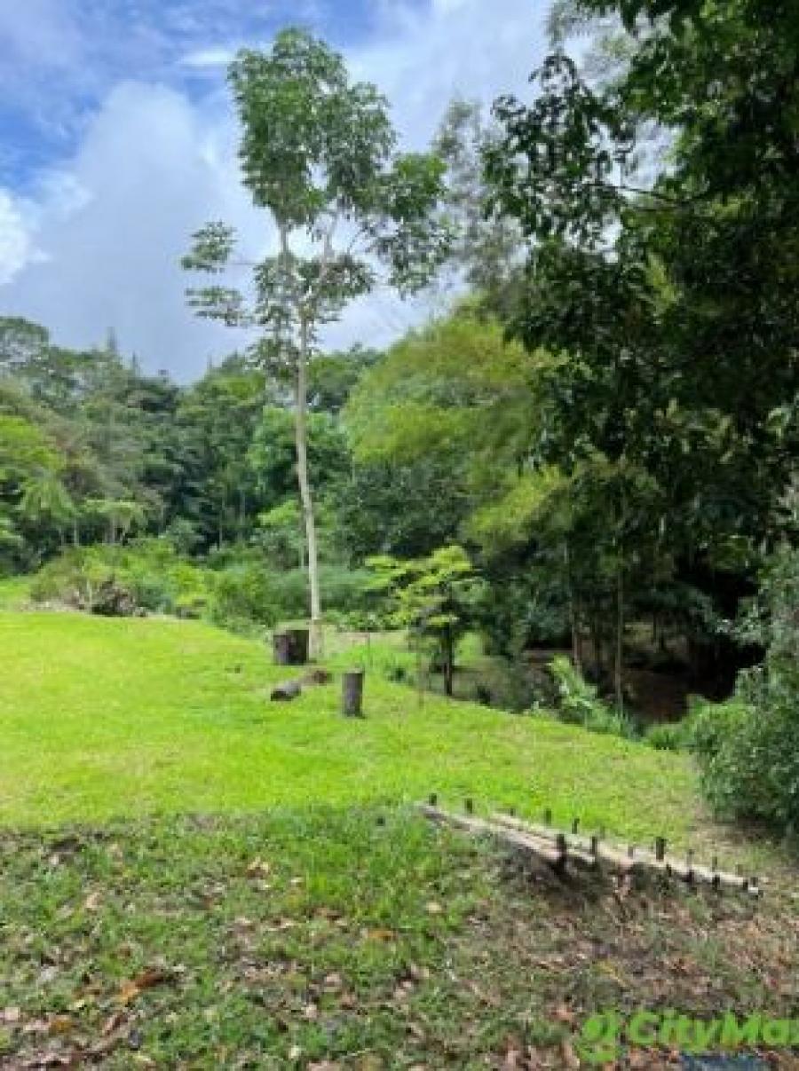 Foto Terreno en Venta en San Salvador, San Salvador - U$D 475.000 - TEV1165 - BienesOnLine