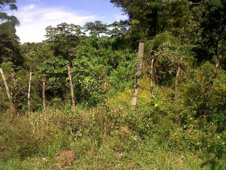 Foto Terreno en Venta en Dulce Nombre de Mara, Chalatenango - U$D 82.000 - TEV1193 - BienesOnLine