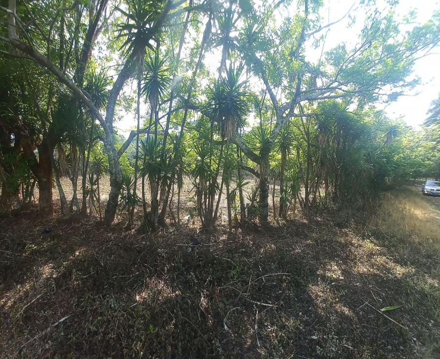 Foto Terreno en Venta en Km 16 - km 30, Guatemala - Q 685.000 - TEV32649 - BienesOnLine