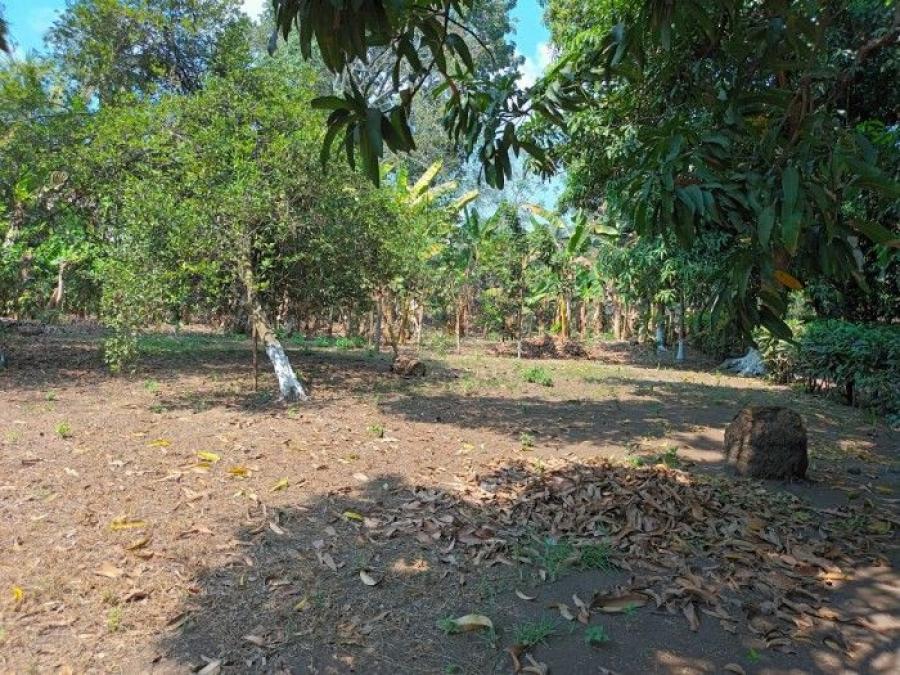 Foto Terreno en Renta en San José, Escuintla - Q 9.000 - TER32200 - BienesOnLine