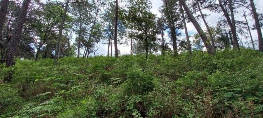 Foto Terreno en Venta en Sumpango, Sumpango, Sacatepquez - Q 1.300.000 - TEV46442 - BienesOnLine