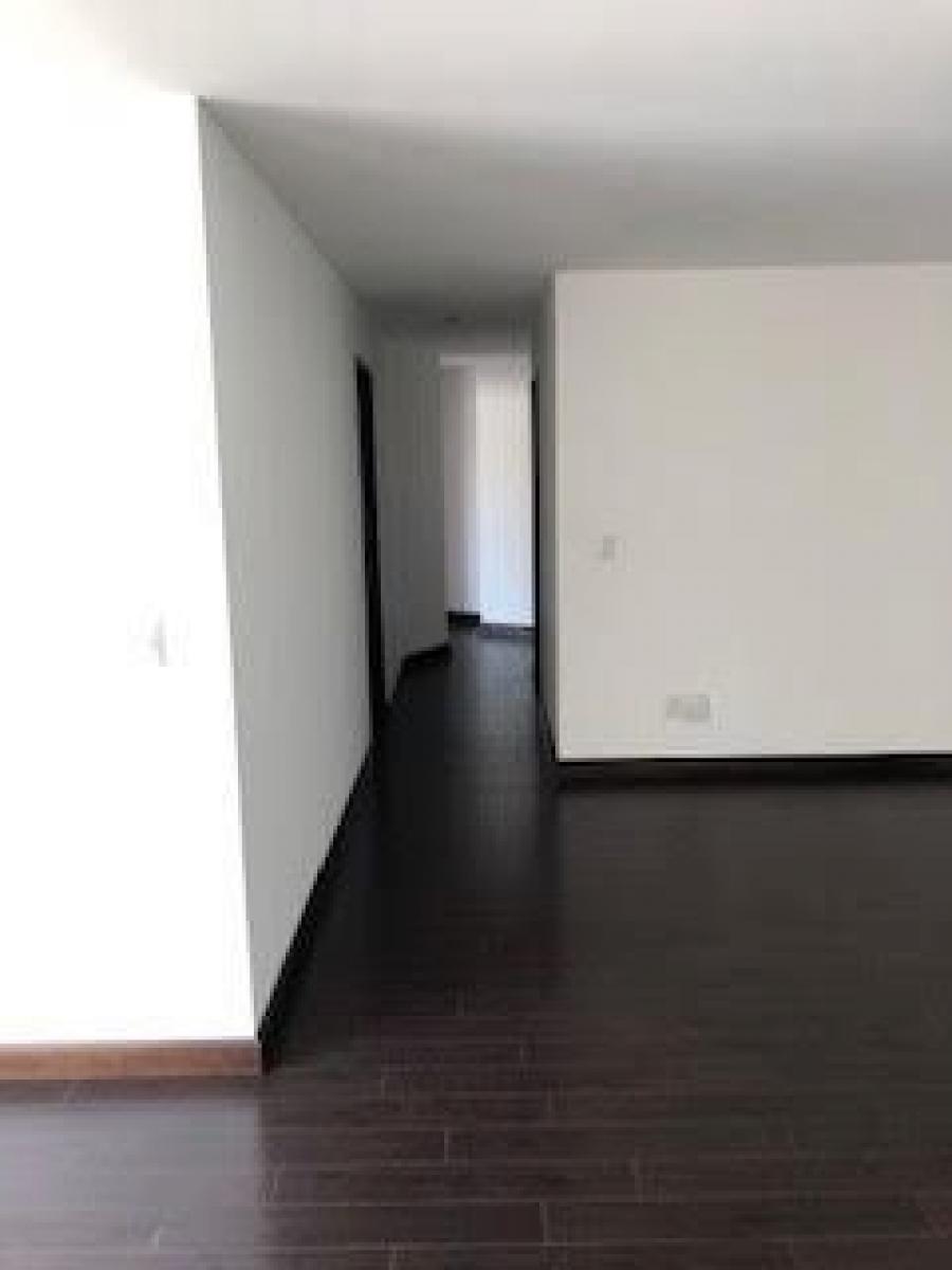 Foto Apartamento en Renta en zona 14, Guatemala, Guatemala - U$D 900 - APR4888 - BienesOnLine