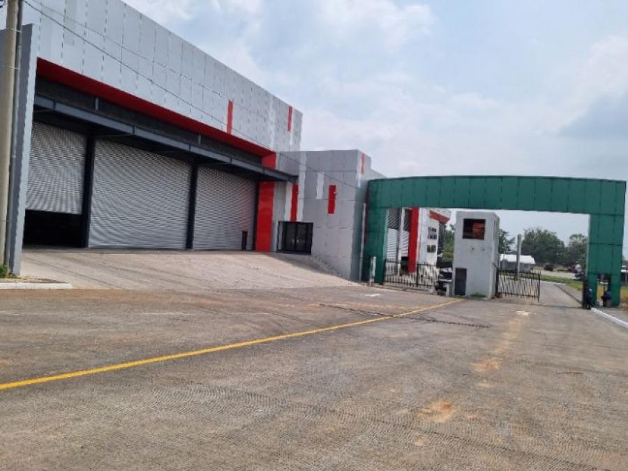 Foto Bodega en Renta en Escuintla, Escuintla, Escuintla - U$D 2.331 - BOR45283 - BienesOnLine