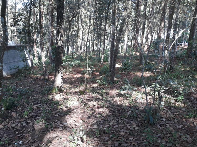 Bonito Terreno en Portales de Santiago, San Lucas