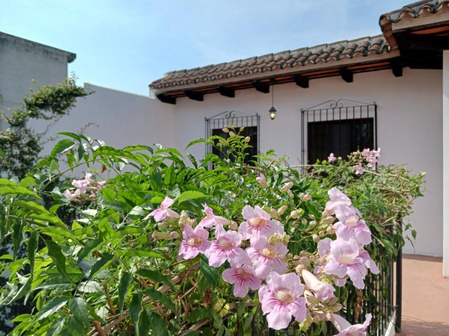 Foto Casa en Venta en Guatemala, Guatemala - U$D 350.000 - CAV47360 - BienesOnLine