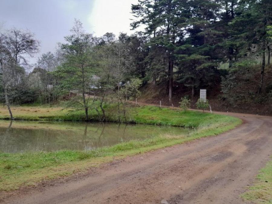 Foto Terreno en Renta en Tecpán Guatemala, Chimaltenango - Q 65.000 - TER31078 - BienesOnLine