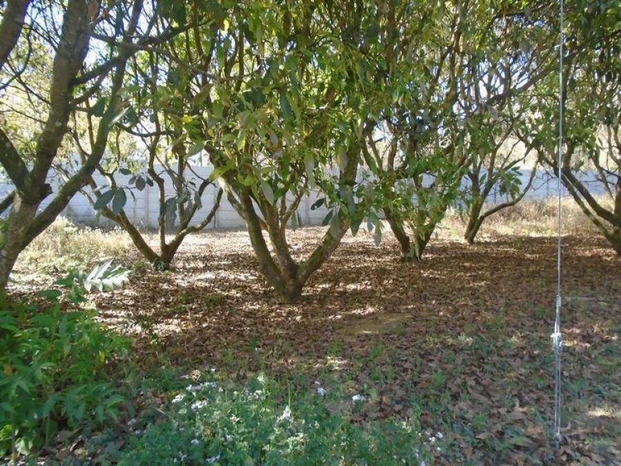 Foto Terreno en Venta en Santo Tomas Milpas Altas, Santo Tomas Milpas Altas, Sacatepquez - Q 287.000 - TEV12298 - BienesOnLine