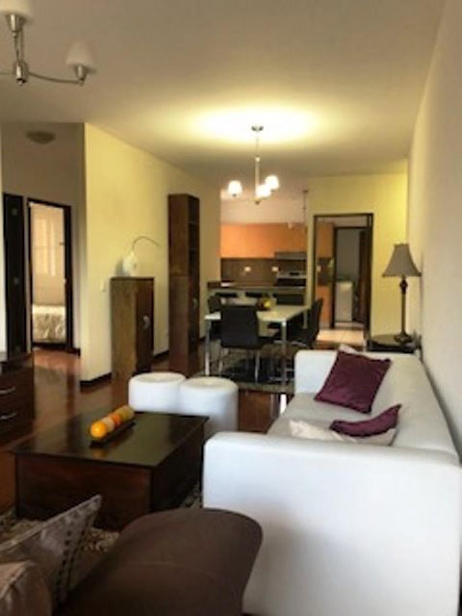 Foto Apartamento en Renta en zona 14, Guatemala zona 14, Guatemala - U$D 1.500 - APR8992 - BienesOnLine