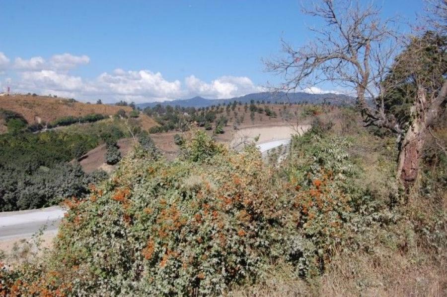 Foto Terreno en Venta en Petapa, Petapa, Guatemala - U$D 7.250.000 - TEV45753 - BienesOnLine