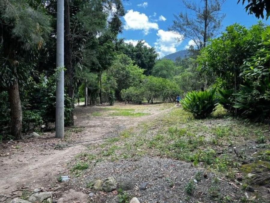 Foto Finca en Venta en Jutiapa, Jutiapa, Jutiapa - U$D 400.000 - FIV44259 - BienesOnLine