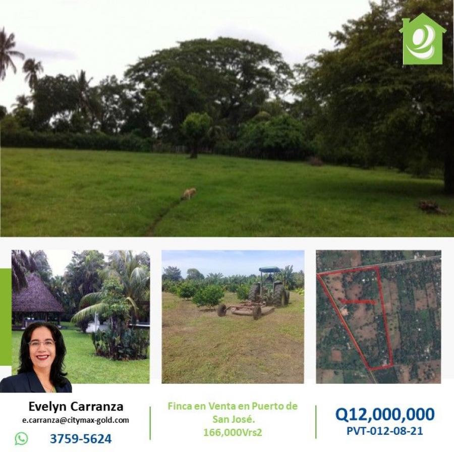 Foto Finca en Venta en Ciudad de Guatemala, Escuintla - Q 12.000.000 - FIV11464 - BienesOnLine