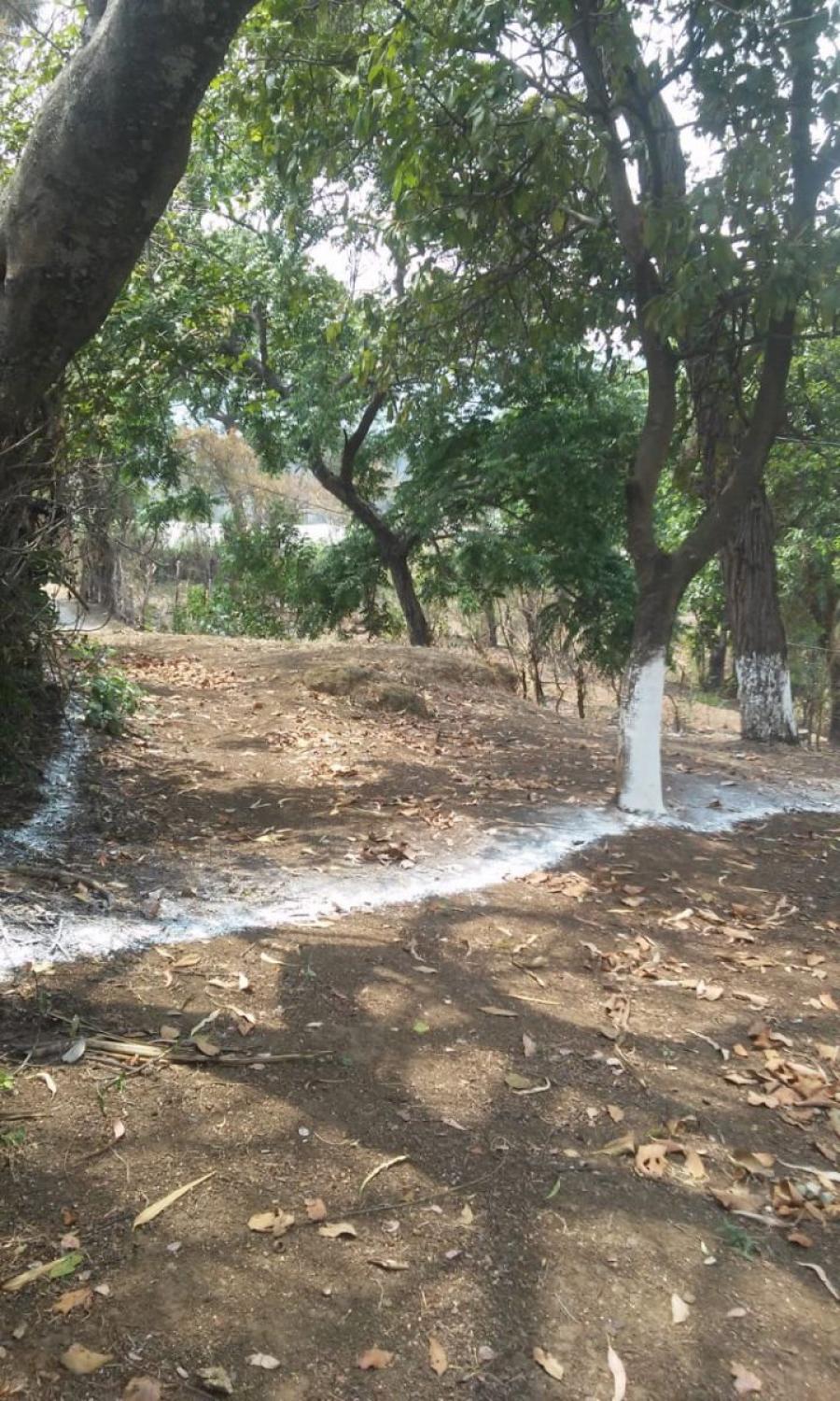 GANGA TERRENO EN BARCENAS VILLA NUEVA 