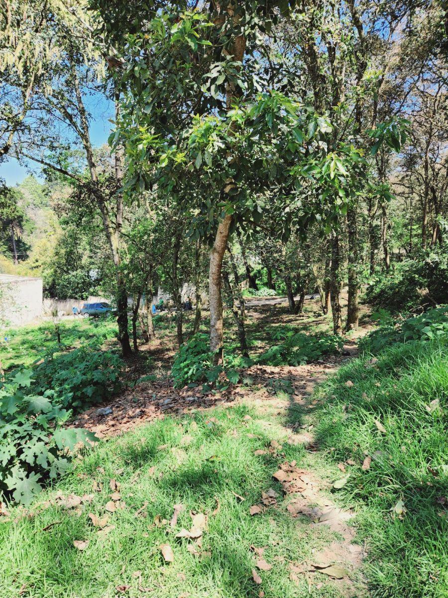 GANGA VENDO BONITO TERRENO EN SAN LUCAS SACATEPEQUEZ