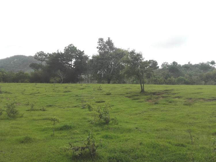 Foto Terreno en Venta en San Juan Sacatepquez, Guatemala - Q 3.000.000 - TEV828 - BienesOnLine