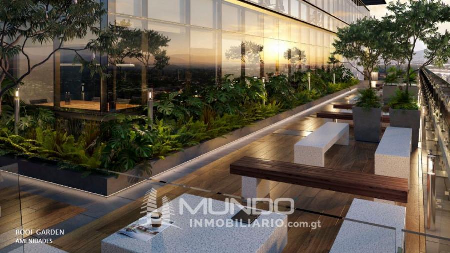 OFICINA EN RENTA EN ZONA 14/MUNDO INMOBILIARIO