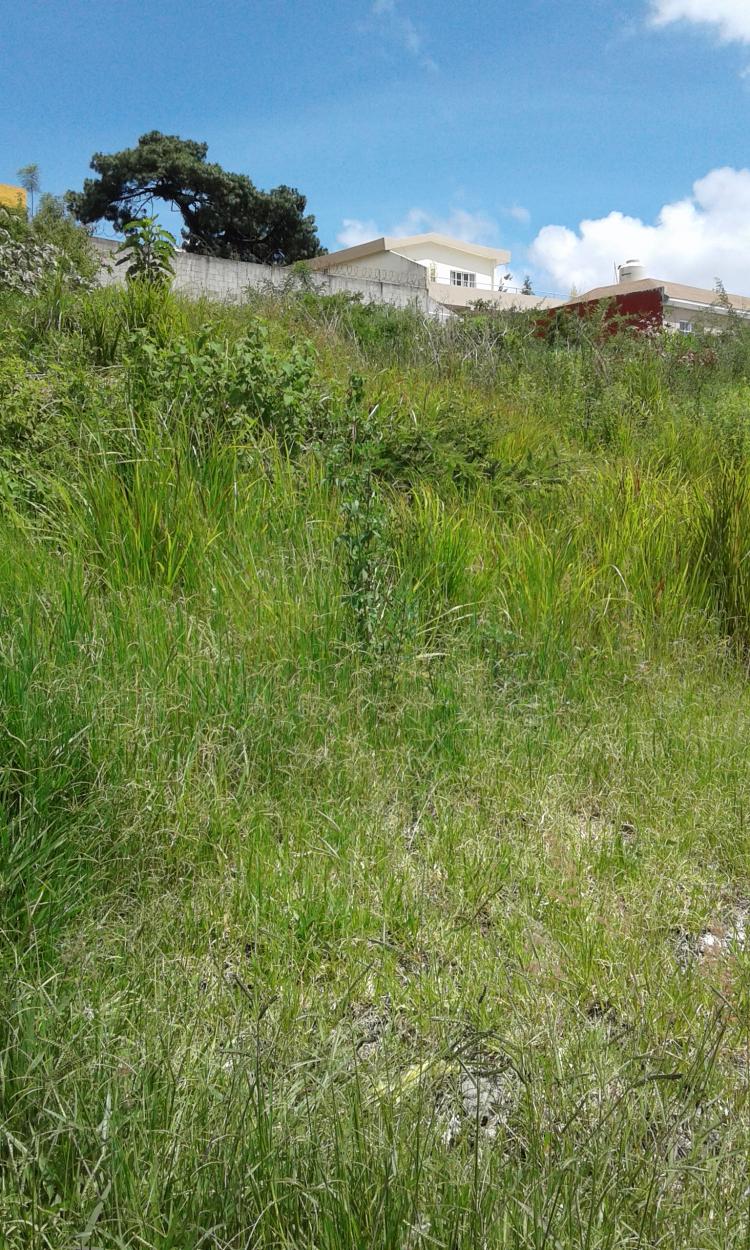 Foto Terreno en Venta en Balcones, Balcones, Guatemala - Q 650.000 - TEV1239 - BienesOnLine