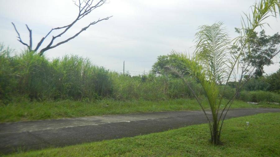 Foto Terreno en Venta en Escuintla, Escuintla - Q 35.000 - TEV26740 - BienesOnLine