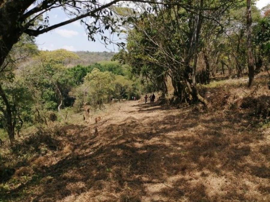 Foto Terreno en Venta en Carretera a El Salvador Km. 16 al 30, Villa Canales, Guatemala - U$D 2.190.000 - TEV45139 - BienesOnLine