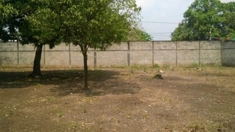 Foto Terreno en Renta en Escuintla, Escuintla, Escuintla - Q 10.000 - TER44173 - BienesOnLine