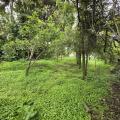 Terreno en Renta en San Bartolomé Milpas Altas San Bartolome Milpas Altas