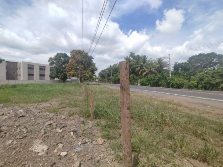 Foto Terreno en Renta en Carretera a Puerto de San Jos, San Jose, Escuintla - Q 40.000 - TER44243 - BienesOnLine