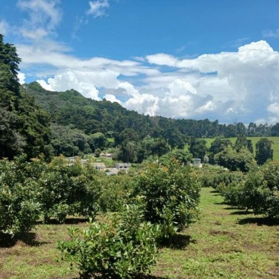 Foto Terreno en Venta en Santiago Sacatepéquez, Sacatepéquez - Q 742.115 - TEV27590 - BienesOnLine