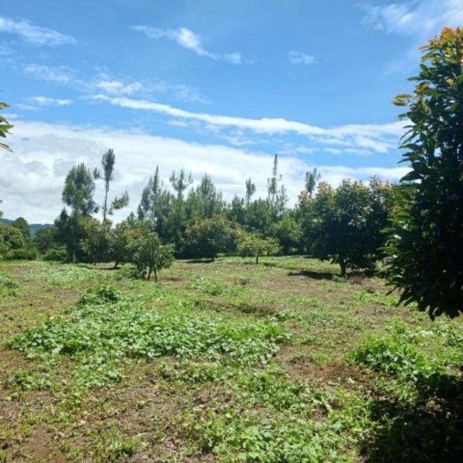 Foto Terreno en Venta en Santiago Sacatepquez, Santiago Sacatepequez, Sacatepquez - U$D 742.115 - TEV44298 - BienesOnLine